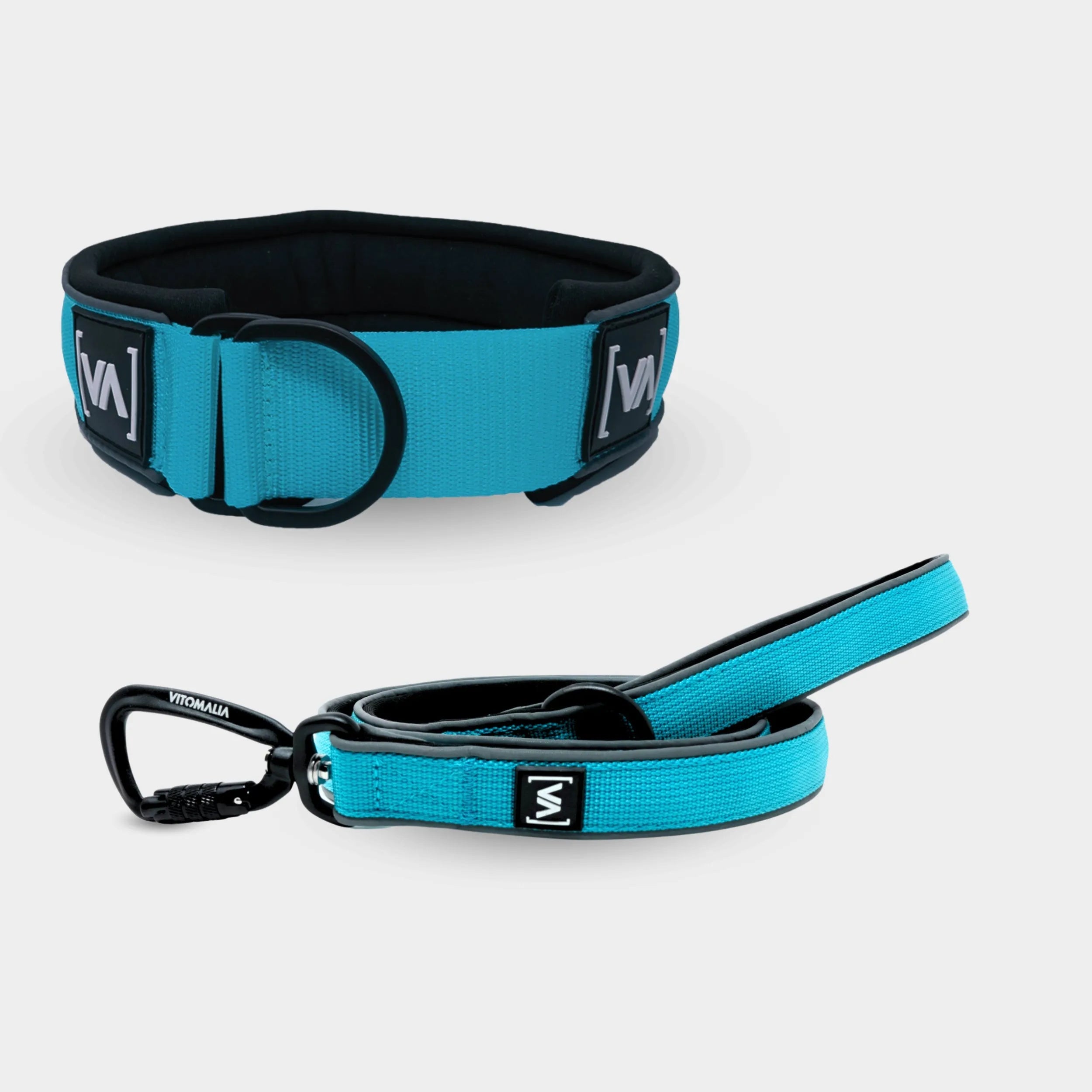 Bundle Easy Go Edition Türkis Set - Zugstopphalsband + 1,2m Führleine