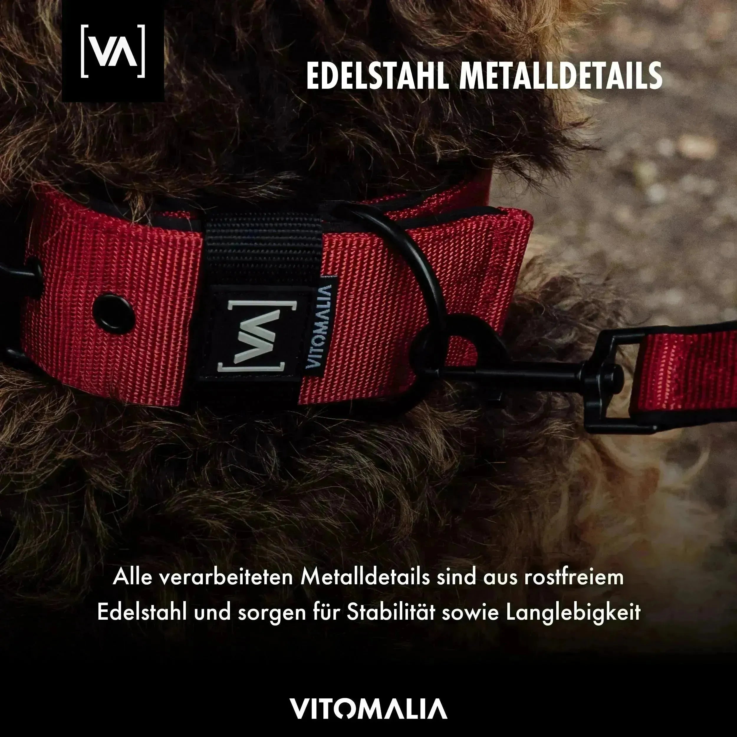Collar para perro clásico Collar para perro con forro interior saliente - Nero Orange