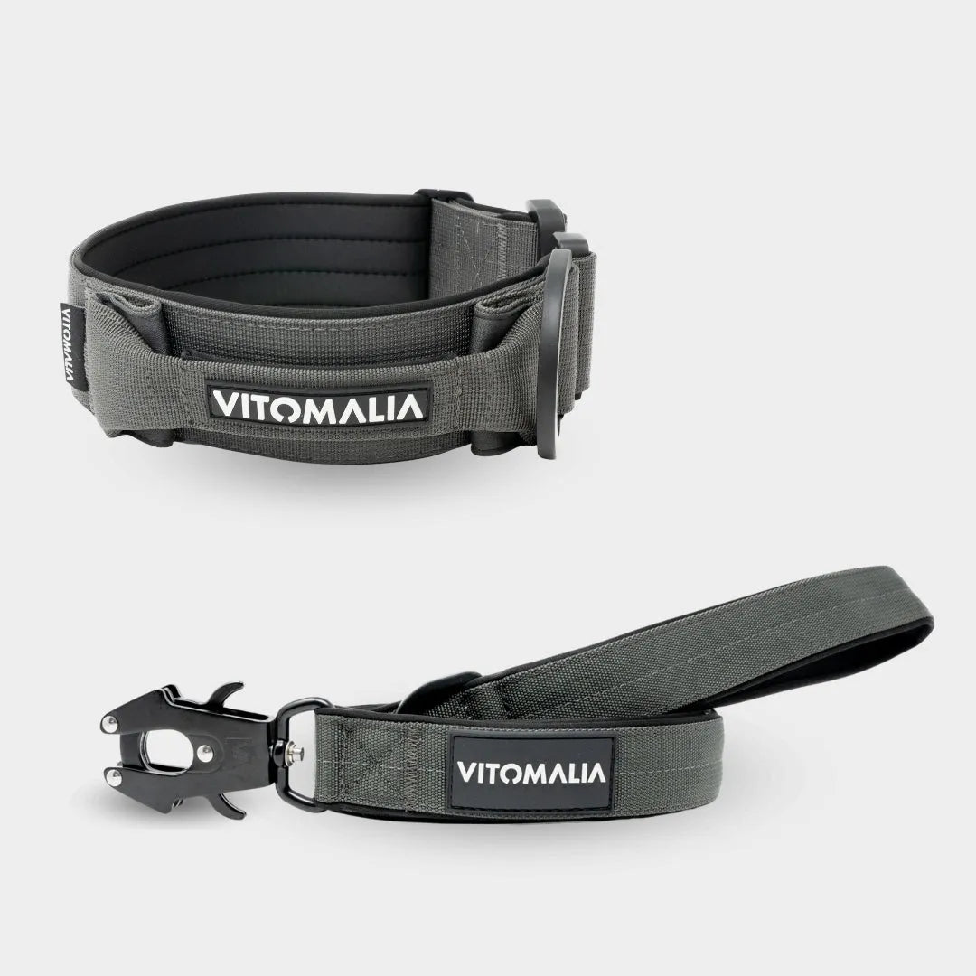 Bundle Extreme Edition Anthracite Set - Collar + correa 1.2 con lazo de mano