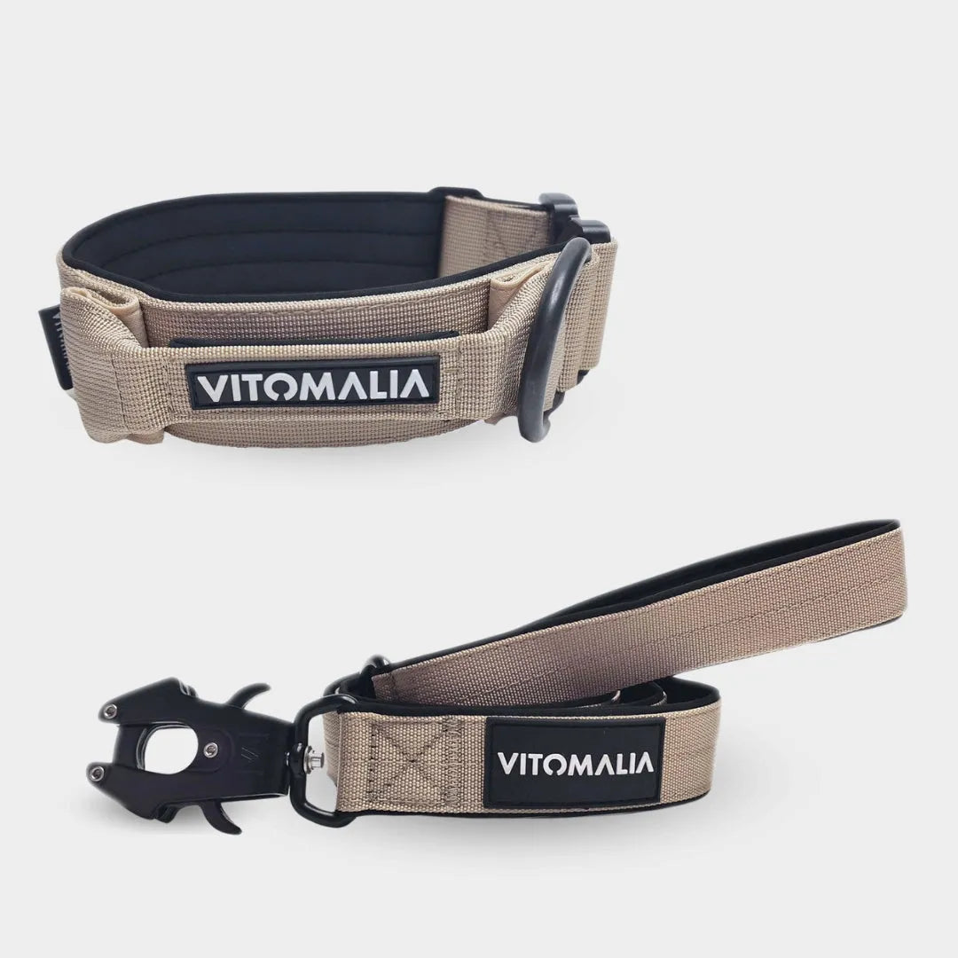 Bundle Extreme Edition Beige Set - Collar + correa 1.2 con lazo de mano