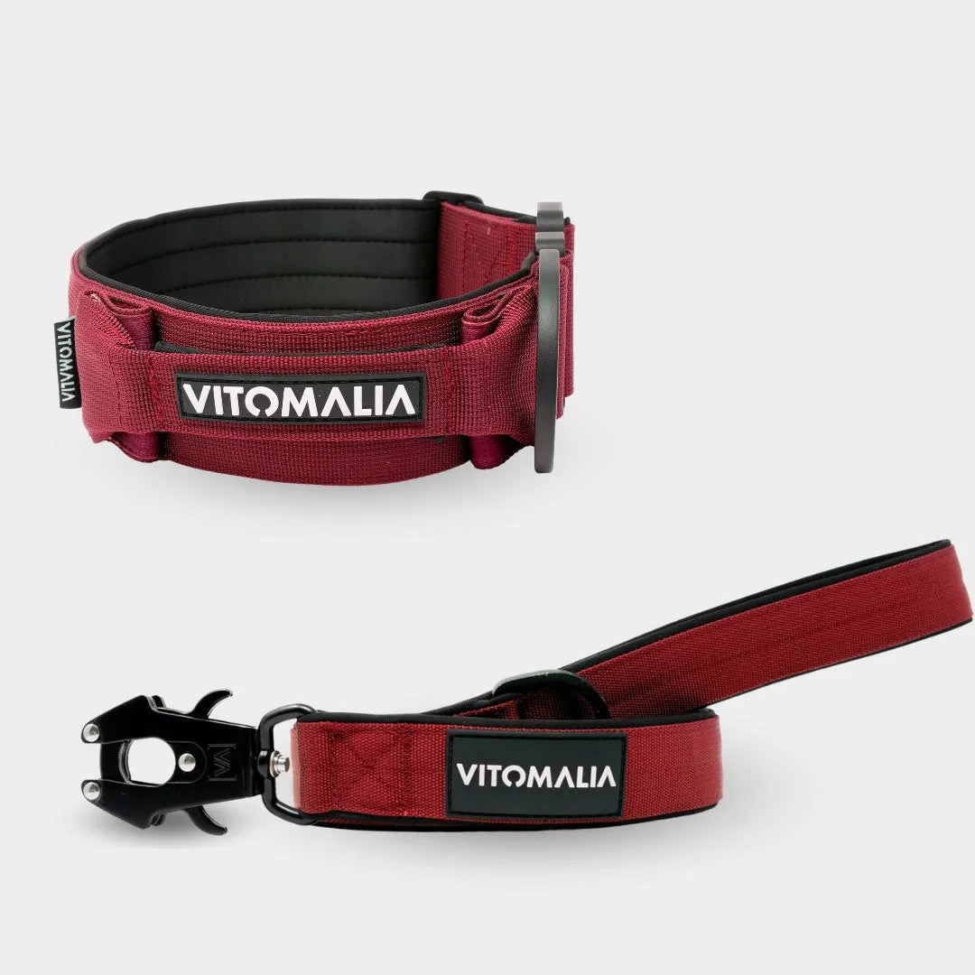 Bundle Extreme Edition Bordeaux Set - Collar + correa 1.2 con lazo de mano