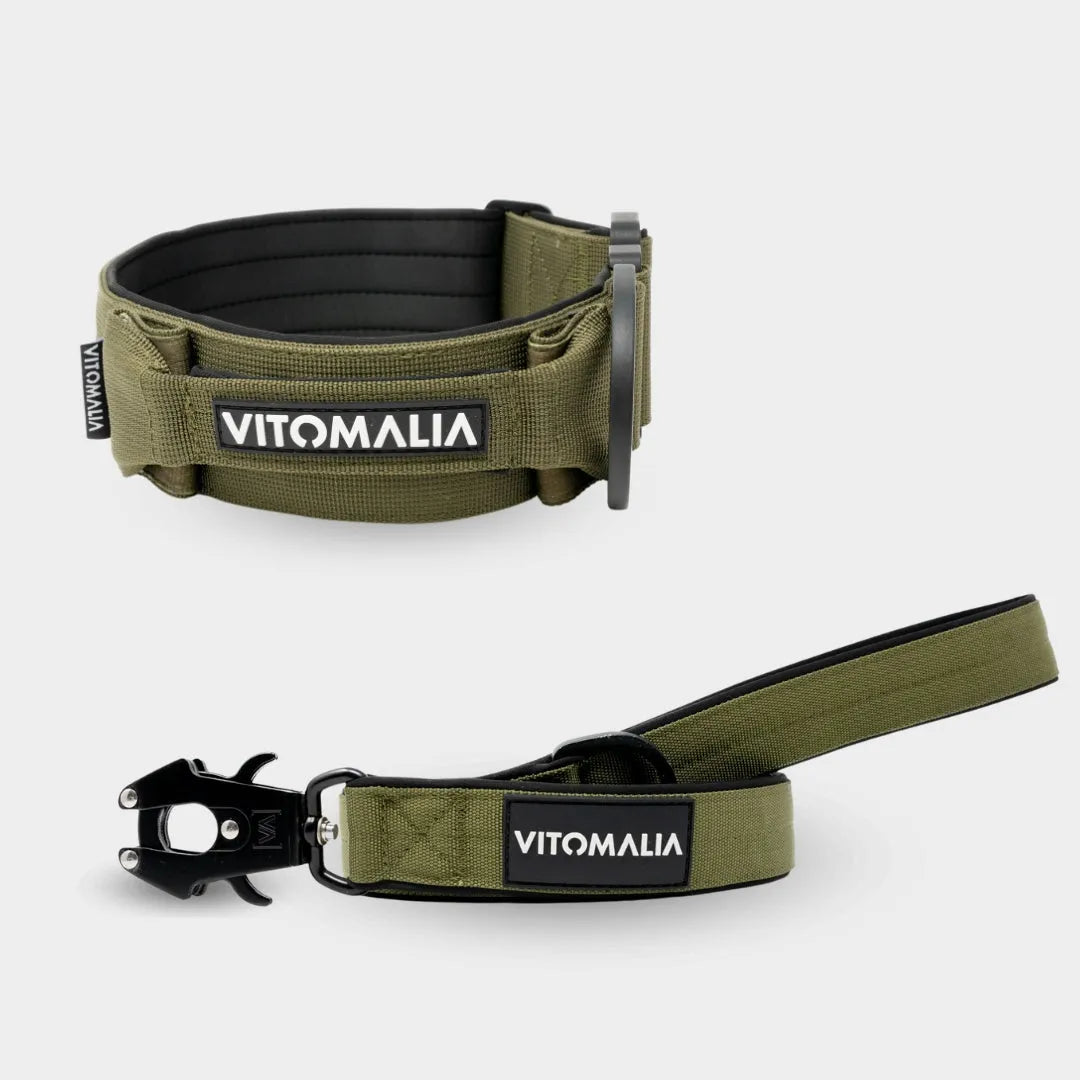 Bundle Extreme Edition Khaki Set - Collar + correa 1.2 con lazo de mano