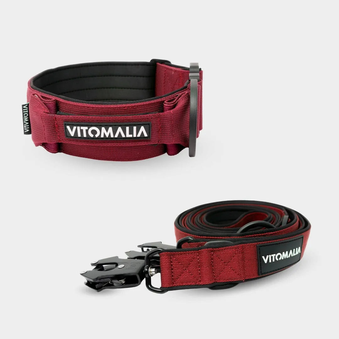 Conjunto Edición Extreme Burdeos - Collar + Correa para perro ajustable triple de 2,2 m