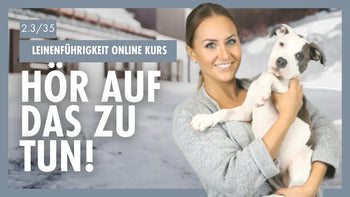 Die Sprache der Hunde verstehen | Klare Kommunikation für Leinenführigkeit [Tag 2/1]