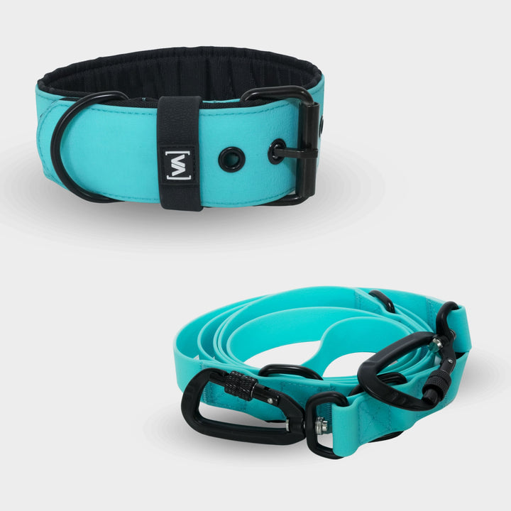 Conjunto Aqua Edition Turquoise - Collar + Correa para perro ajustable triple de 2,2 m