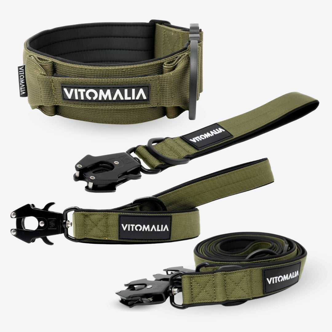 Bundle Extreme Edition Complete Set - Collar & 3 Leashes - Khaki