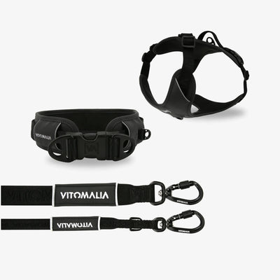 Bundle Outdoor Edition Anthracite Set - Dog Collar, Dog Harness, Dog Leash
