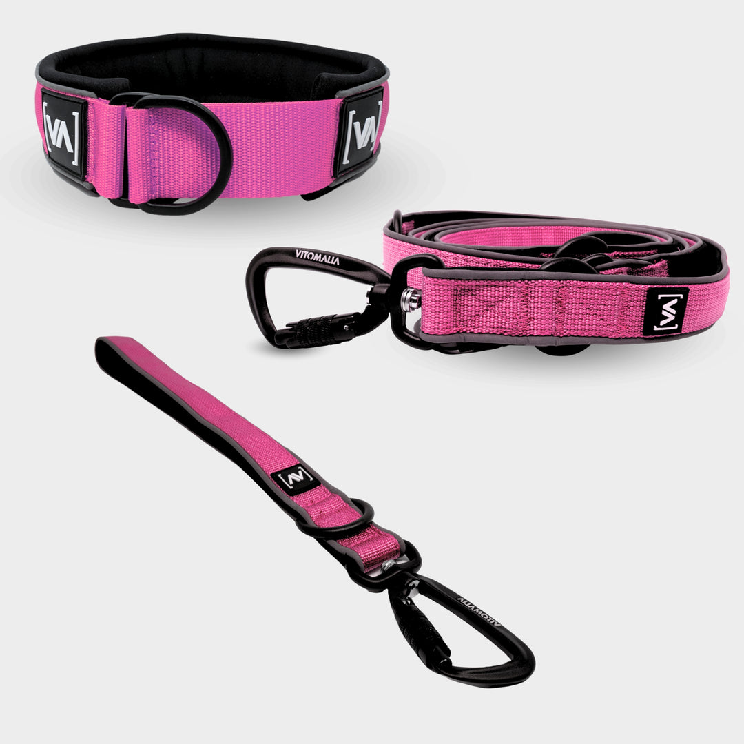 Bundle Easy Go Edition Pink Set - pull stop collar + Short Leash + adjustable Dog Leash