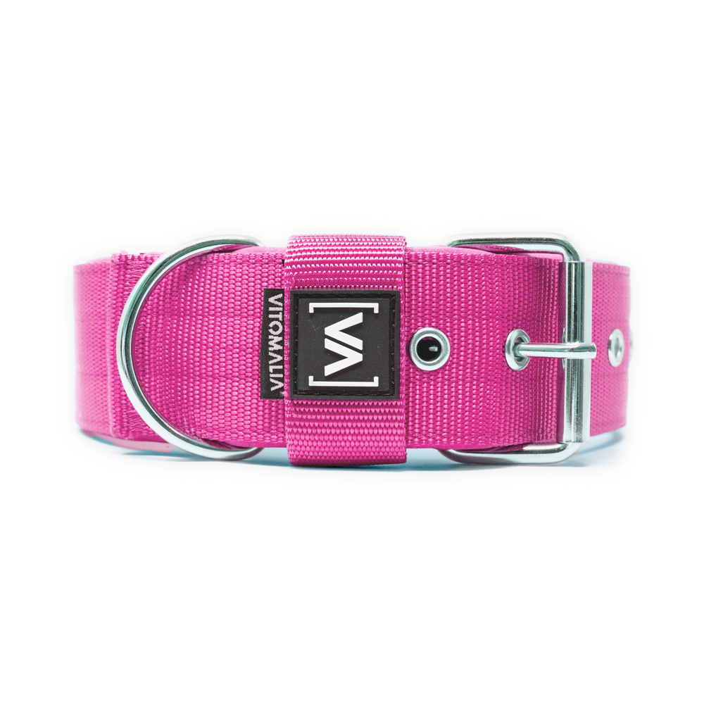 Klassisches Hundehalsband mit abstehender Innenfütterung - Pink - Vitomalia - Hundehalsband