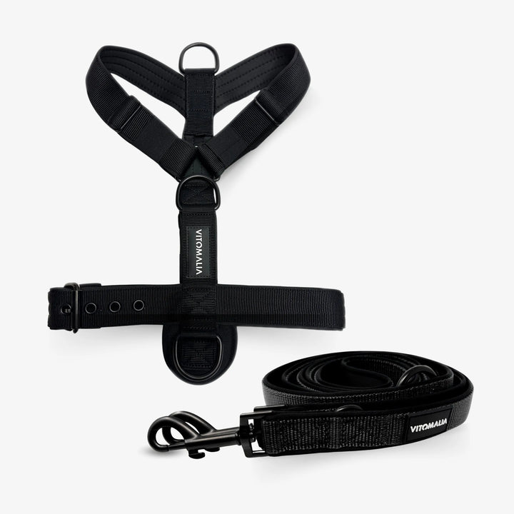 Bundle Classic Edition Black Set - Y-Harness + 2.2m adjustable Dog Leash
