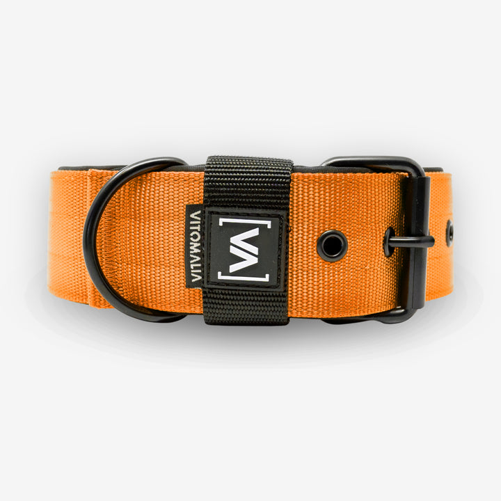 Collar para perro clásico Collar para perro con forro interior saliente - Nero Orange