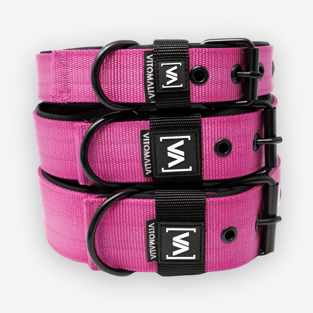 Classic Dog Collar with protruding inner lining - Nero Pink