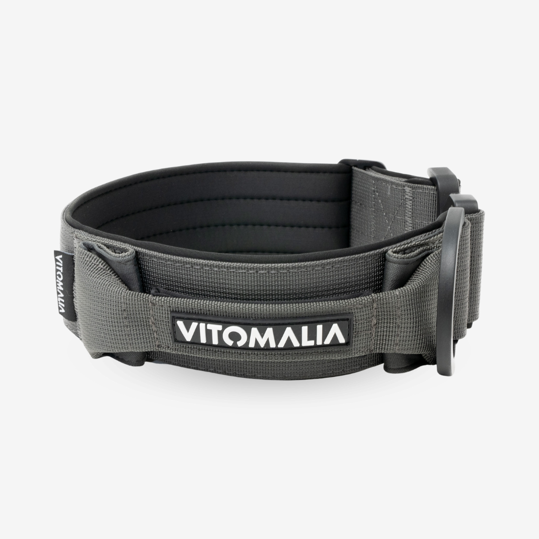 Taktisches Hundehalsband mit belastbarer Schnalle & Magnet Handgriff - Anthrazit - Vitomalia - Hundehalsband Extreme Edition