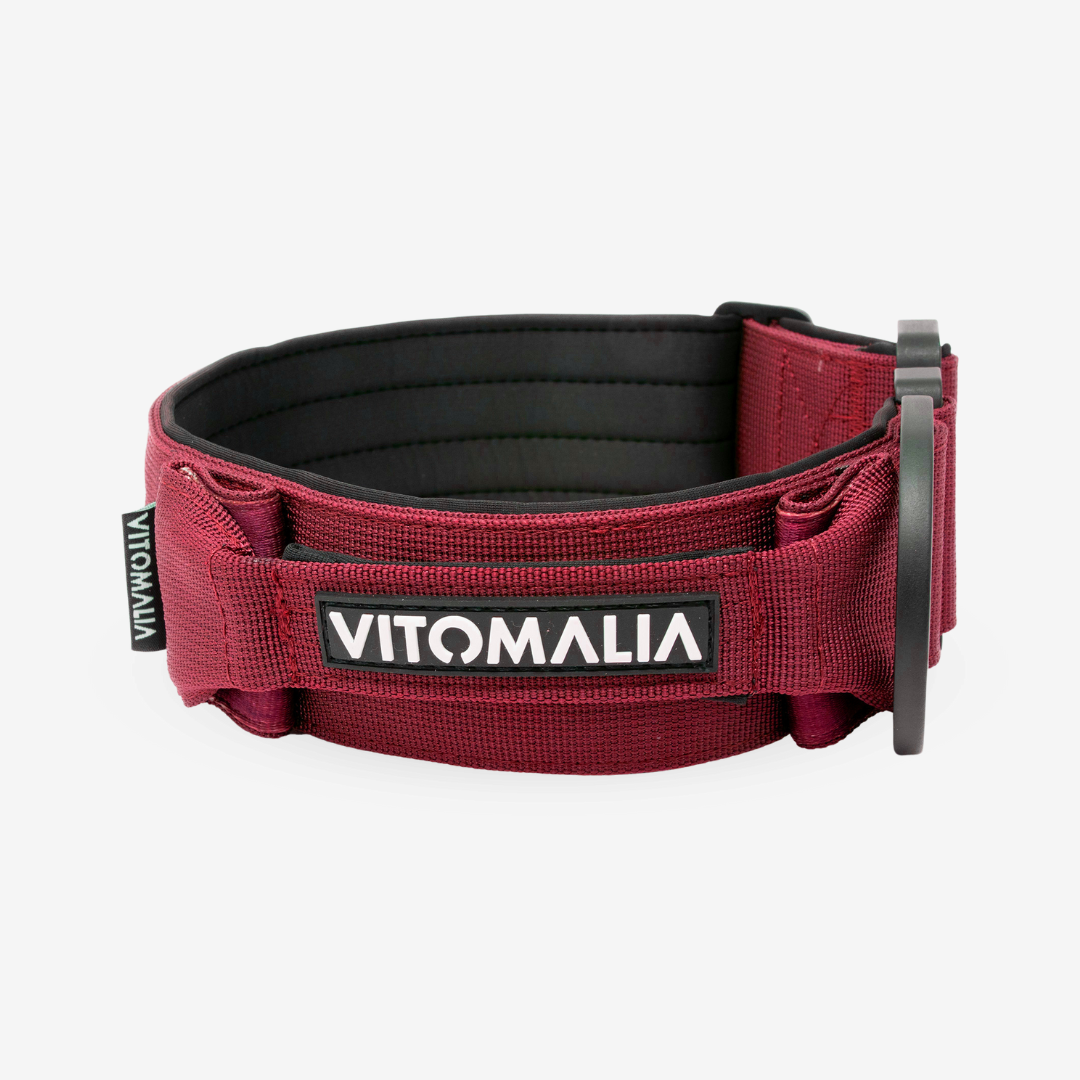 Taktisches Hundehalsband mit belastbarer Schnalle & Magnet Handgriff - Bordeaux - Vitomalia - Hundehalsband Extreme Edition