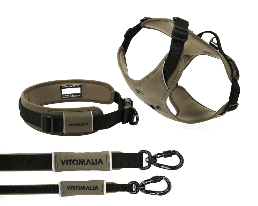 Bundle Outdoor Edition Khaki Set - Collar para perro, Arnés para perro, Correa para perro