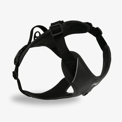 Bundle Outdoor Edition Anthracite Set - Dog Collar, Dog Harness, Dog Leash