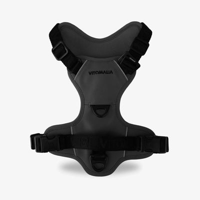 Bundle Outdoor Edition Anthracite Set - Dog Collar, Dog Harness, Dog Leash