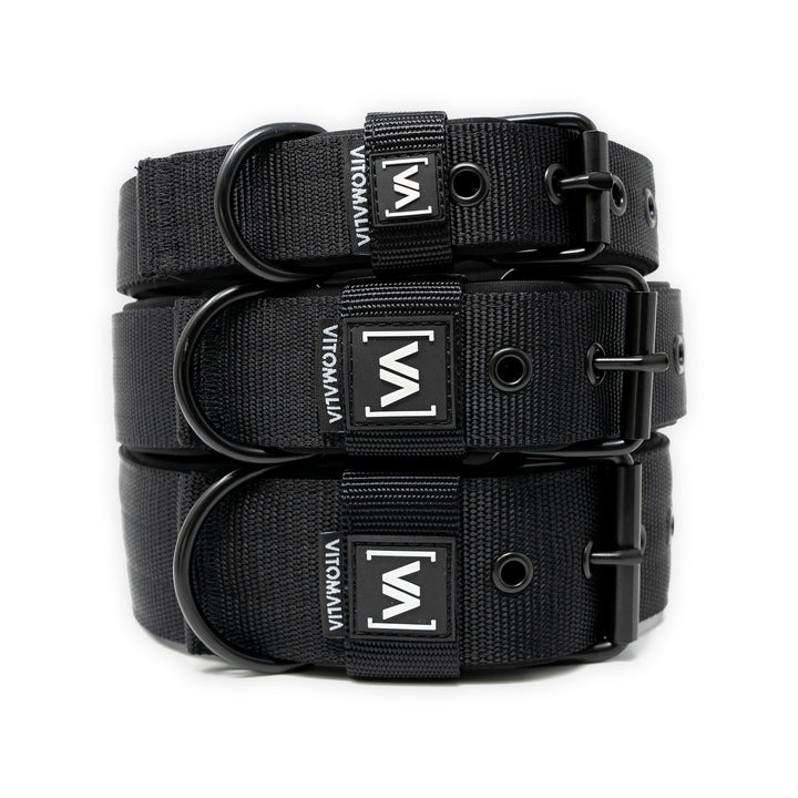 Hundehalsband Classic Nero Edition - Schwarz - Vitomalia - 