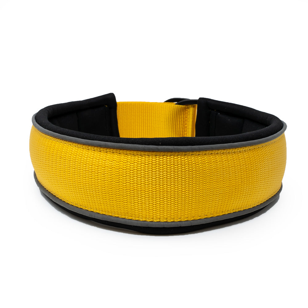 Hundehalsband Easy Go Edition Gelb - Vitomalia - Hundehalsband