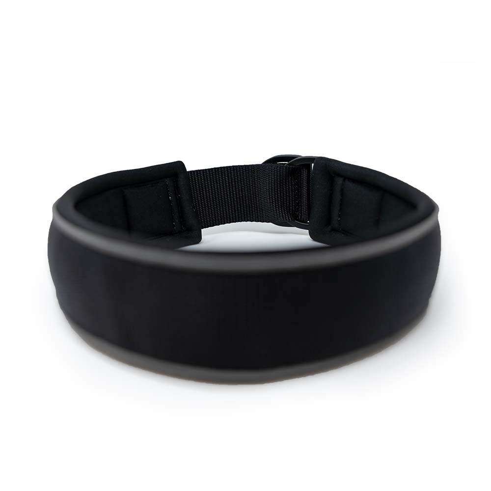 Hundehalsband Easy Go Edition Schwarz - Vitomalia - Hundehalsband