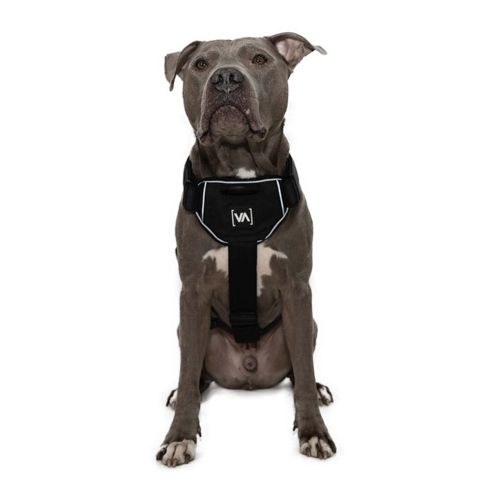 Y-Hundegeschirr Extreme Edition Schwarz - Vitomalia - 